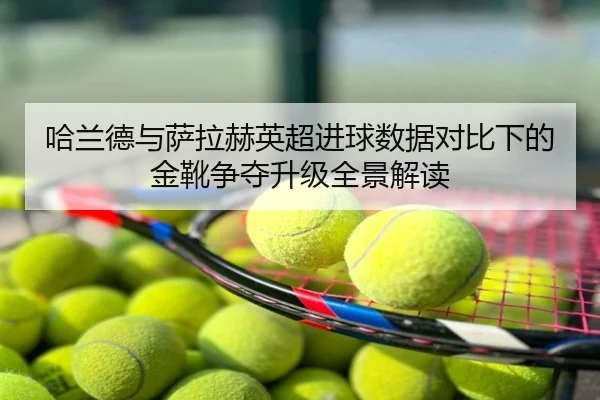 哈兰德与萨拉赫英超进球数据对比下的金靴争夺升级全景解读